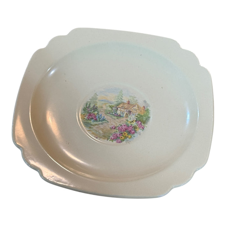 Homer Laughlin Teacup and Saucer English Garden