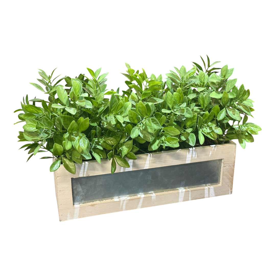 Greenery in Wooden Planter