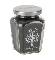 Petite Jar Candle - Ice & Evergreen