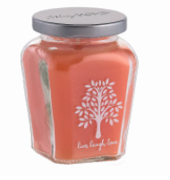 Petite Jar Candle - Peach Orchard