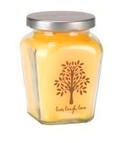 Petite Jar Candle - Pineapple Paradise