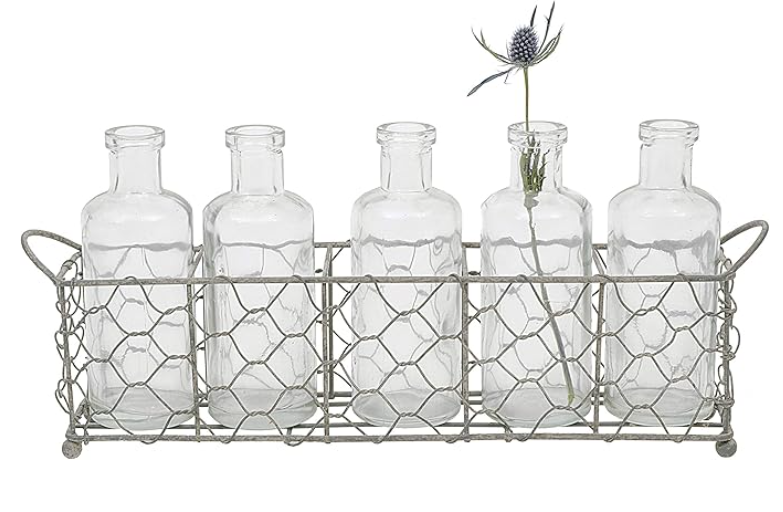 Creative Co-Op 5 Glass Vase Bottles on a Rectangle Metal Holder with Handles