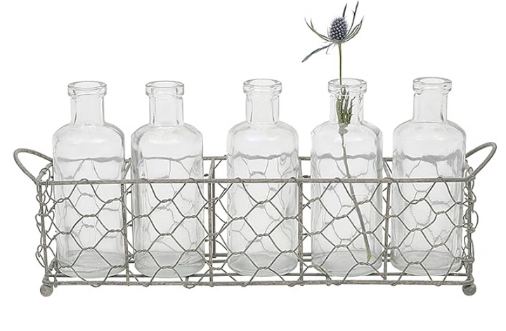 Creative Co-Op 5 Glass Vase Bottles on a Rectangle Metal Holder with Handles